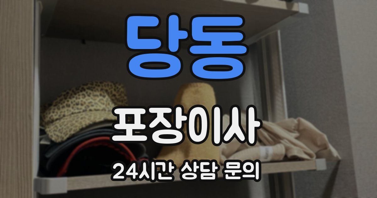 당동 포장이사