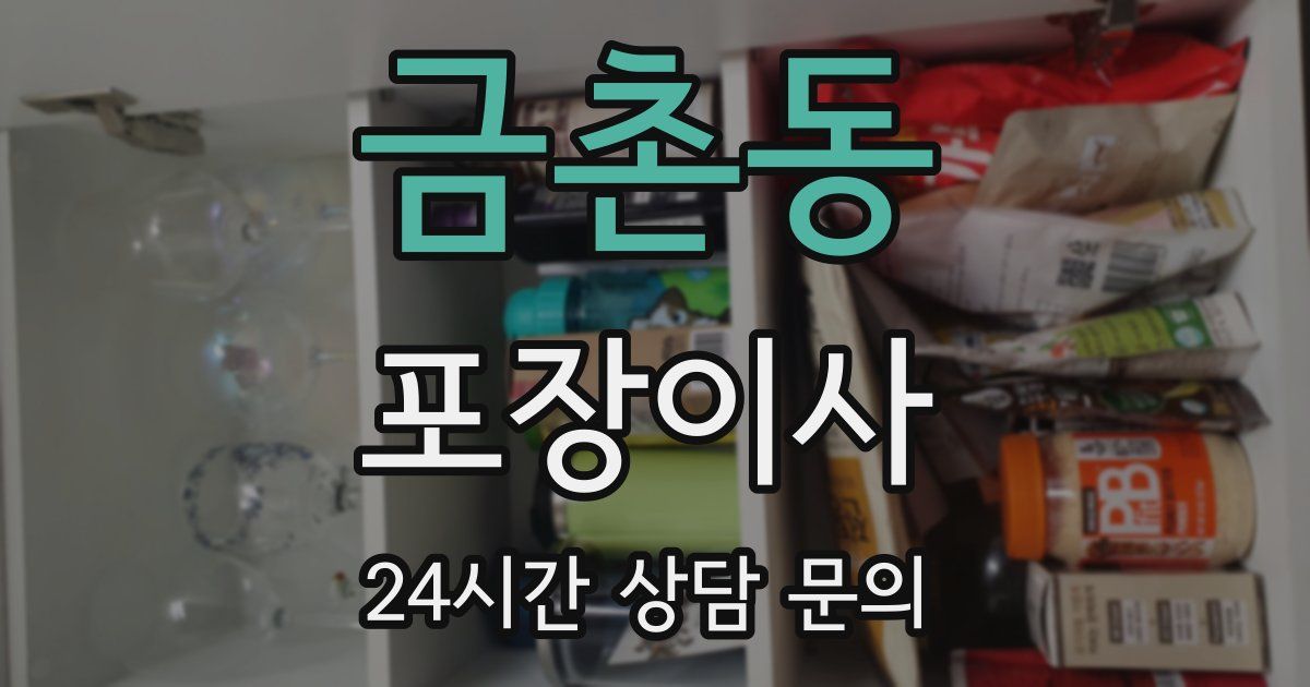 금촌동 포장이사