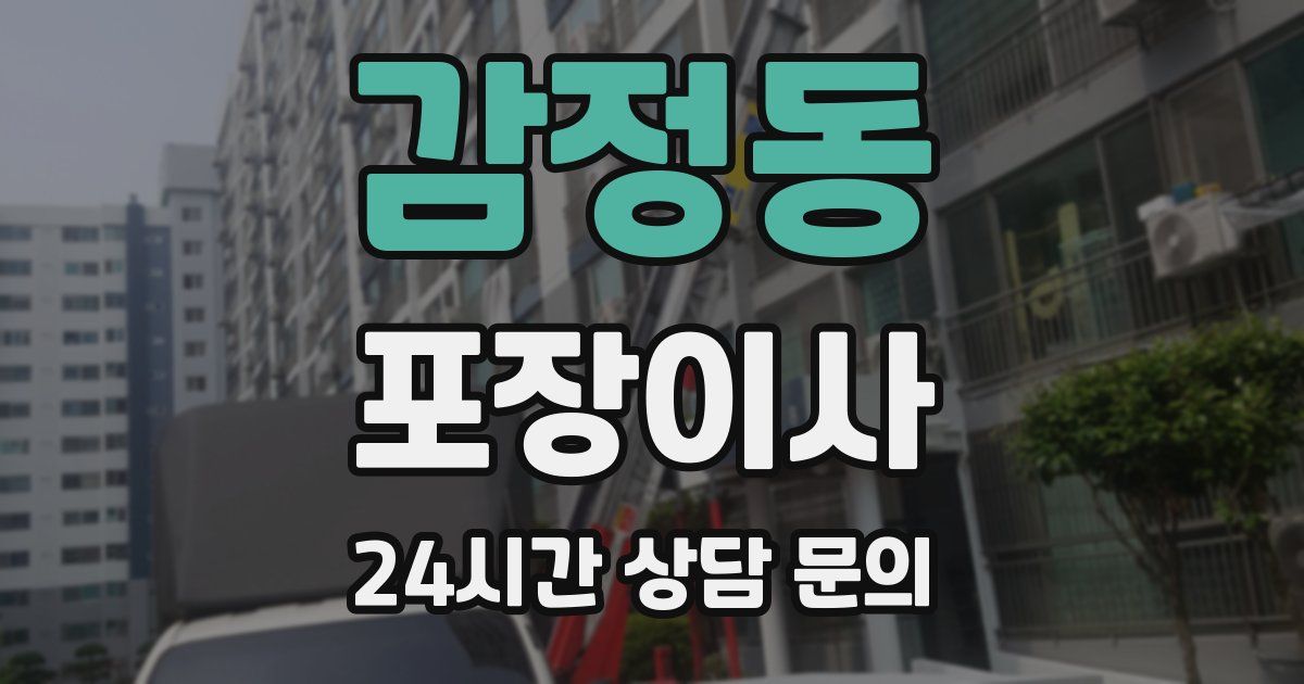 감정동 포장이사