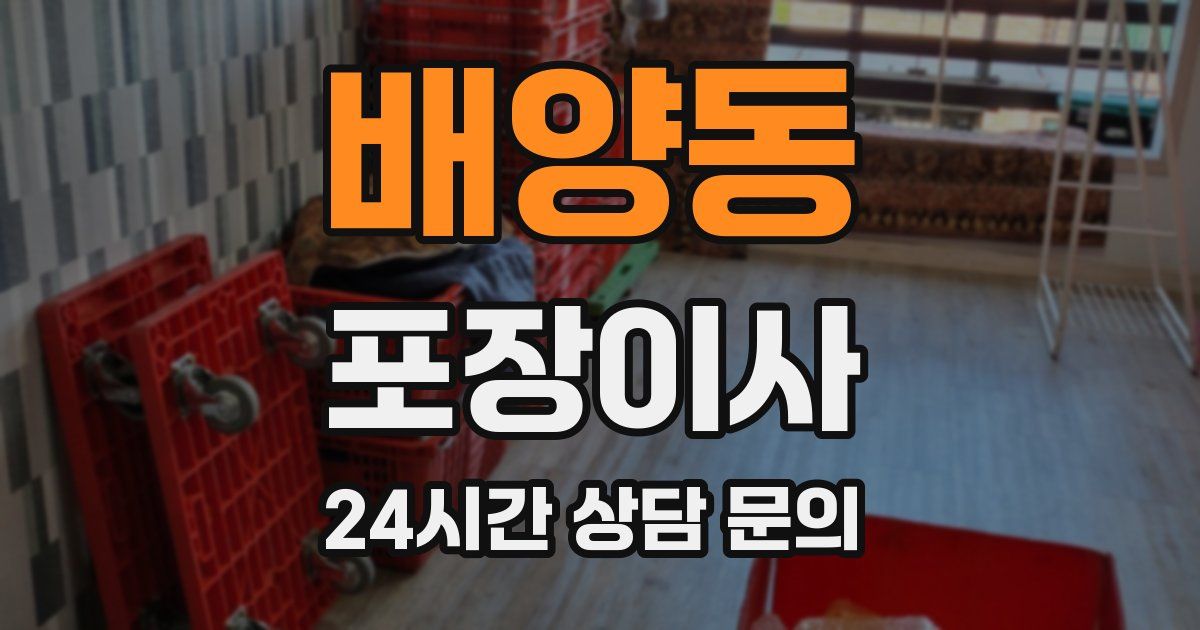 배양동 포장이사