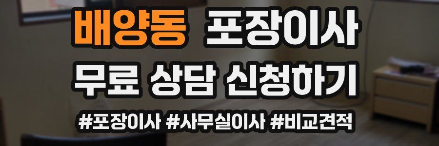 배양동 포장이사