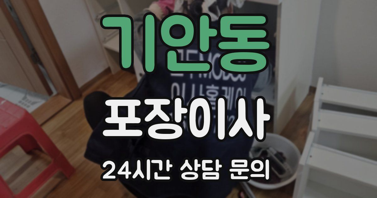 기안동 포장이사