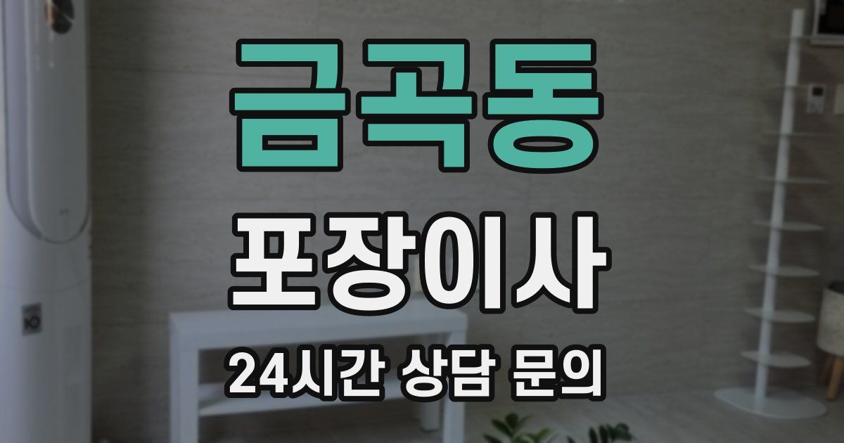 금곡동 포장이사