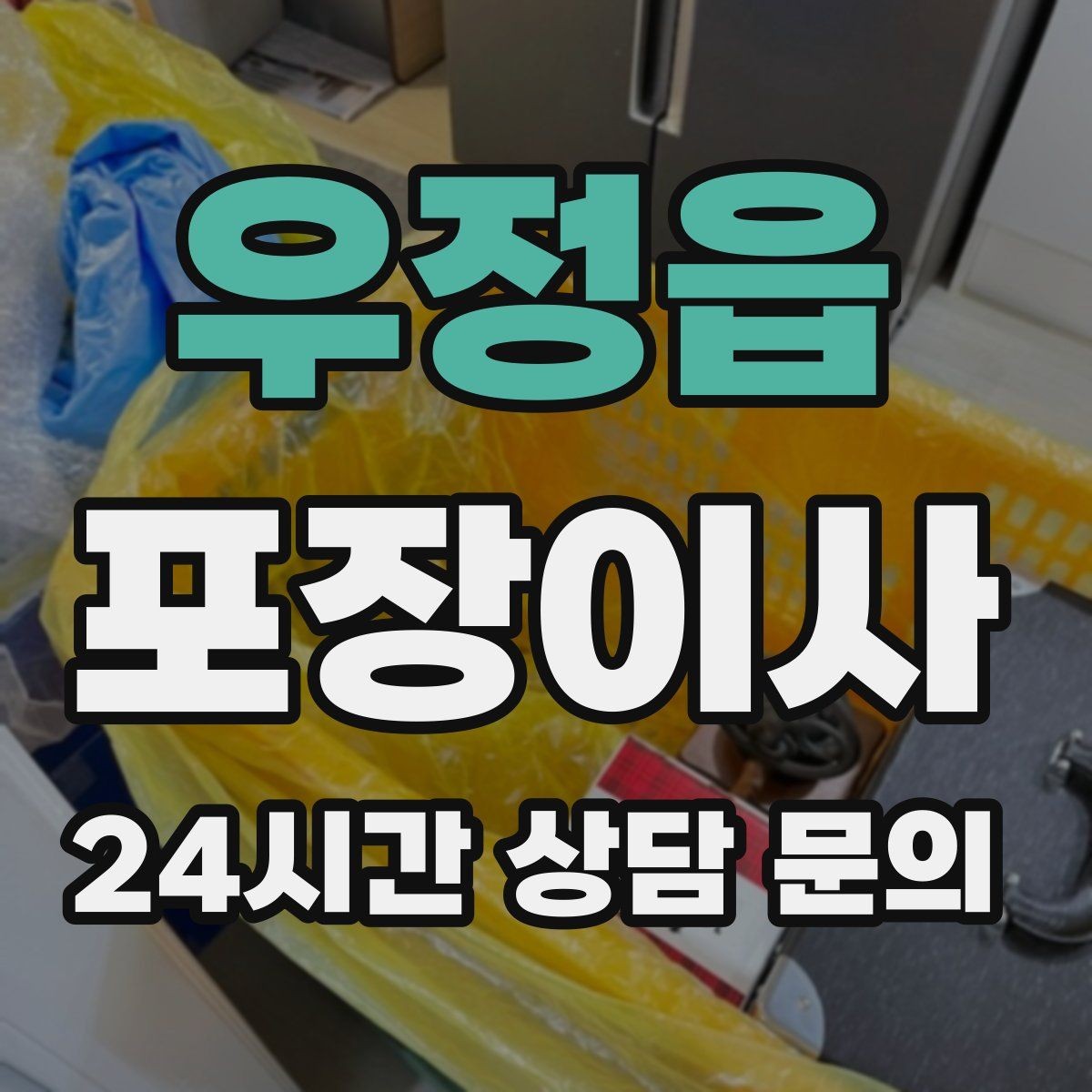 우정읍 포장이사 어항 있는 집 이사에서 놓치기 쉬운 포인트