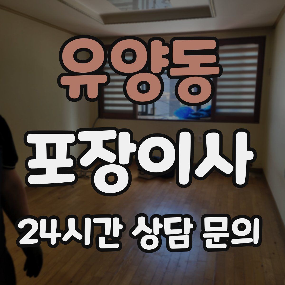 유양동 포장이사 반려동물 공간을 먼저 만들면 좋은 이유