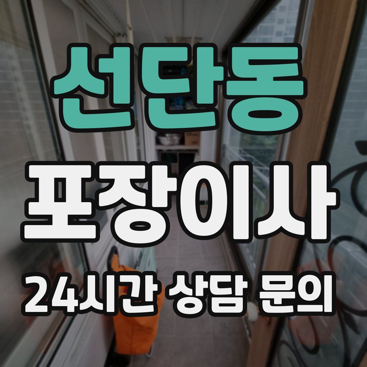 선단동 포장이사