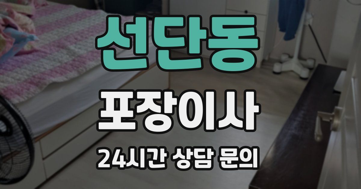 선단동 포장이사