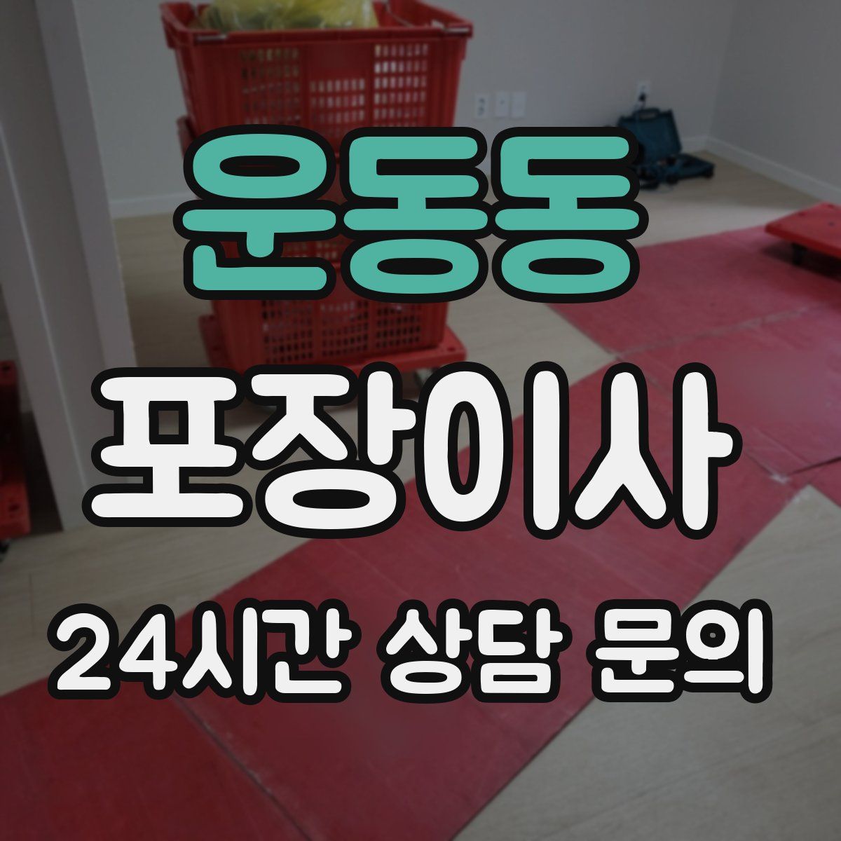 운동동 포장이사