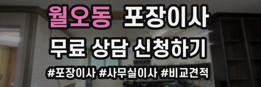 월오동 포장이사