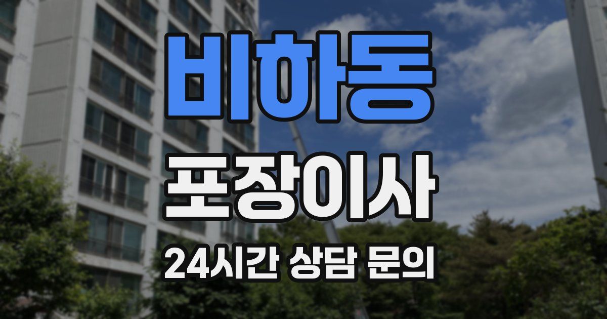 비하동 포장이사
