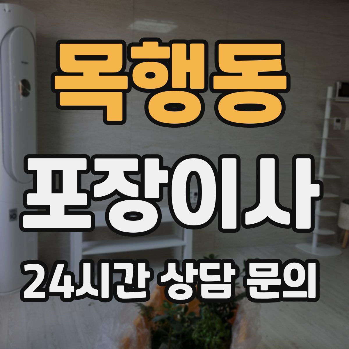 목행동 포장이사