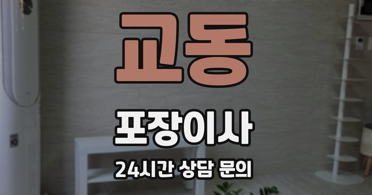 교동 포장이사