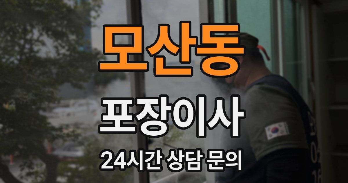 모산동 포장이사