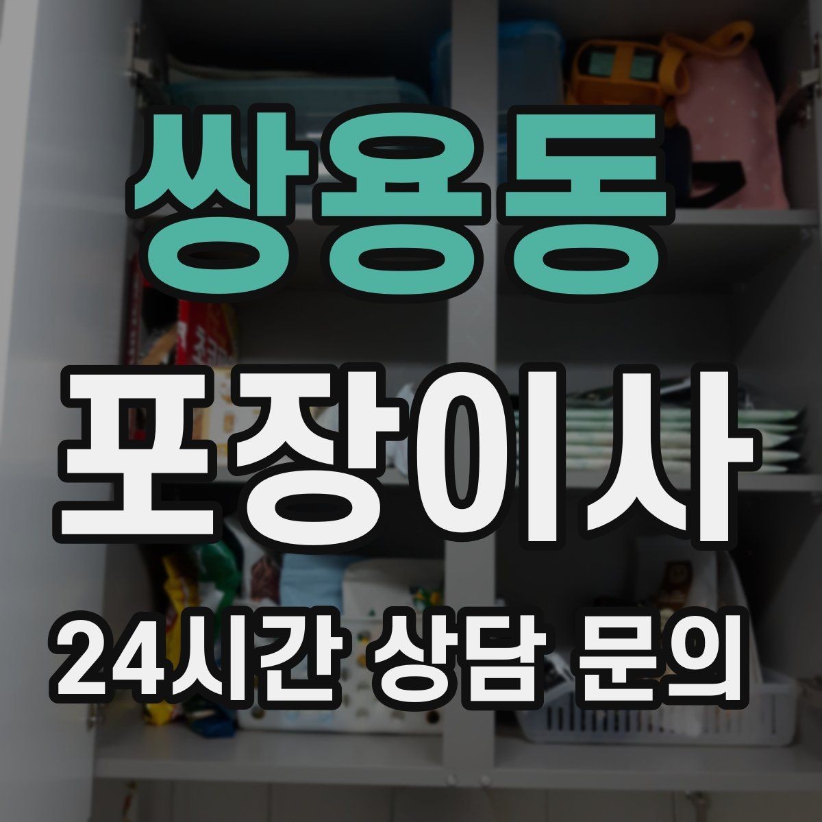 쌍용동 포장이사 어항 있는 집 이사에서 놓치기 쉬운 포인트
