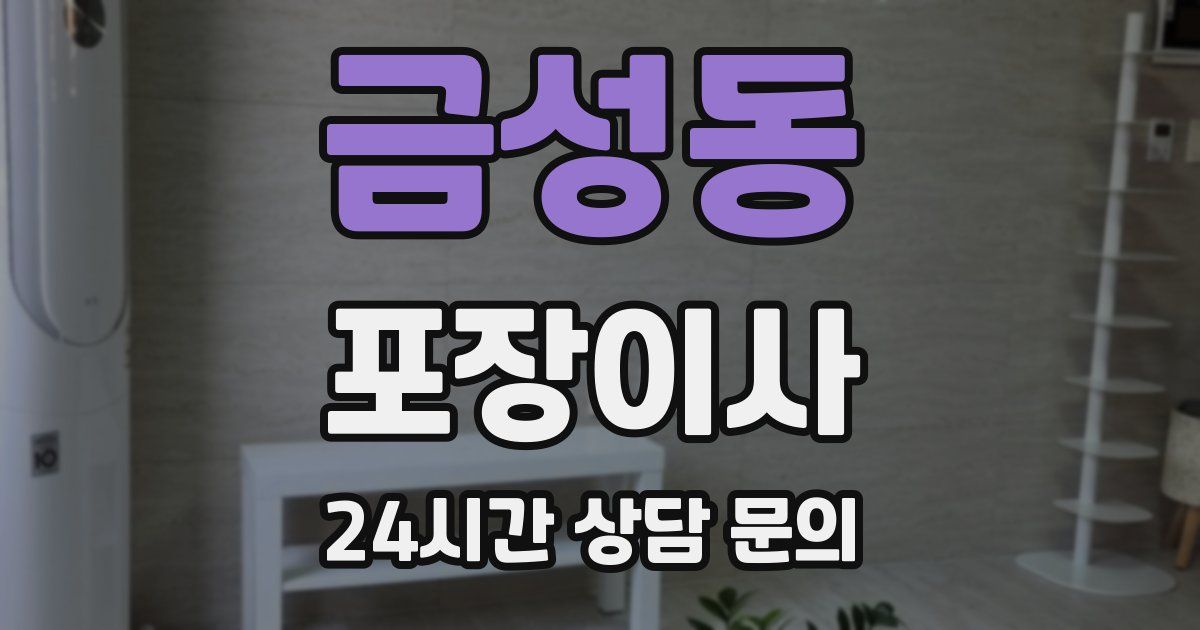 금성동 포장이사