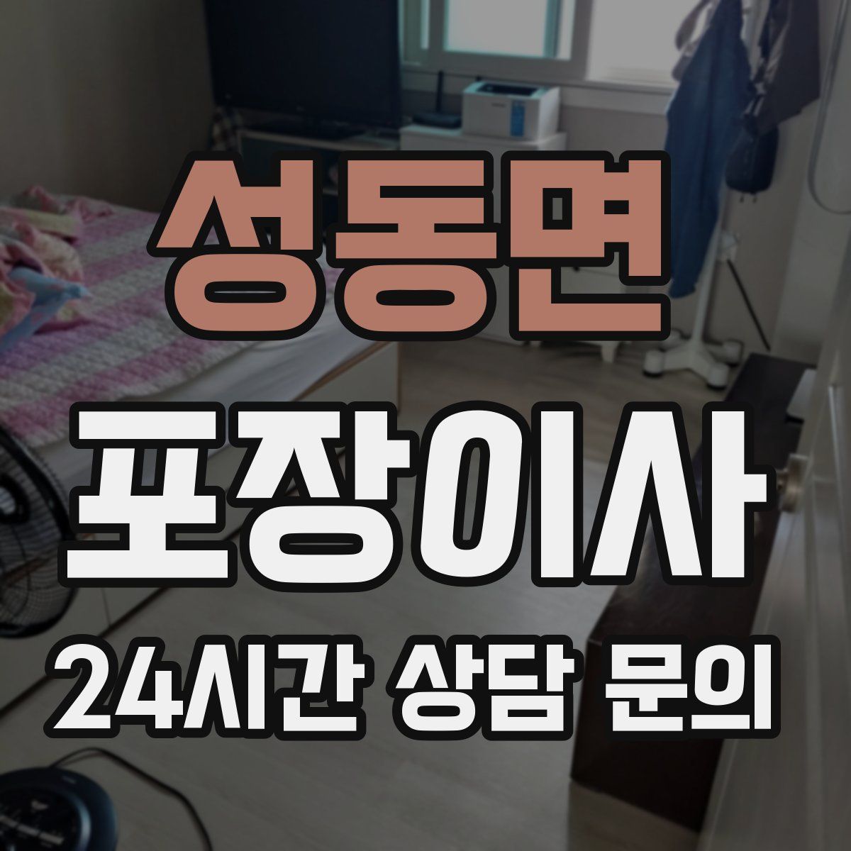 성동면 포장이사