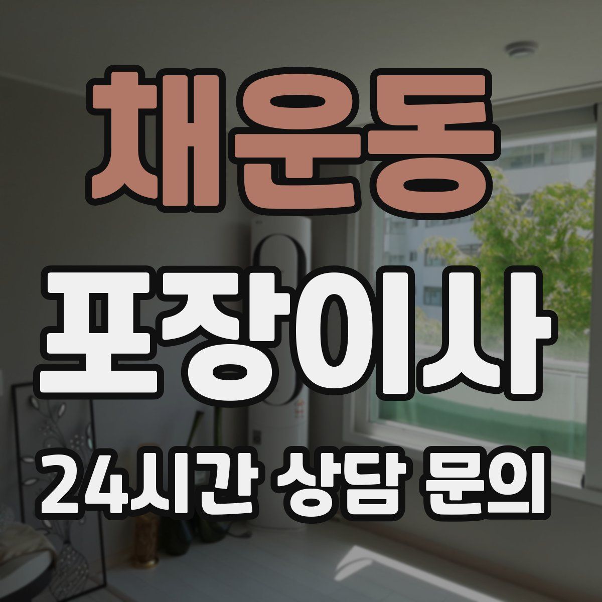 채운동 포장이사