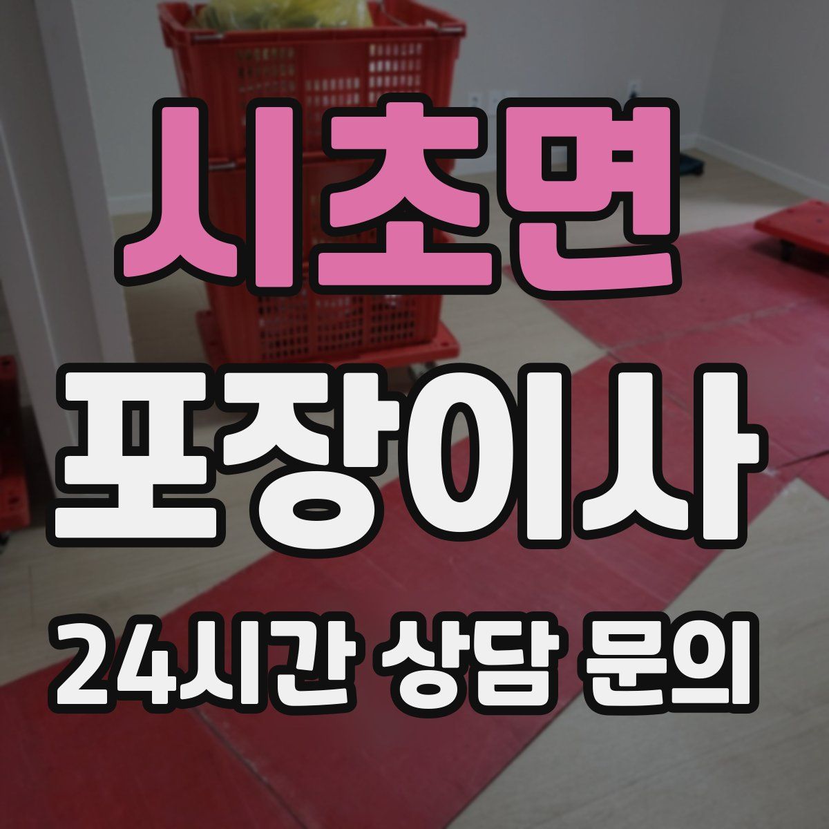 시초면 포장이사