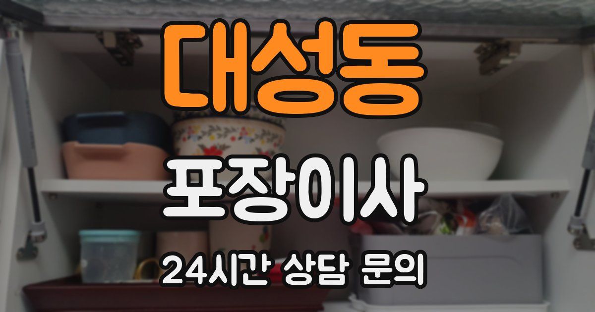 대성동 포장이사