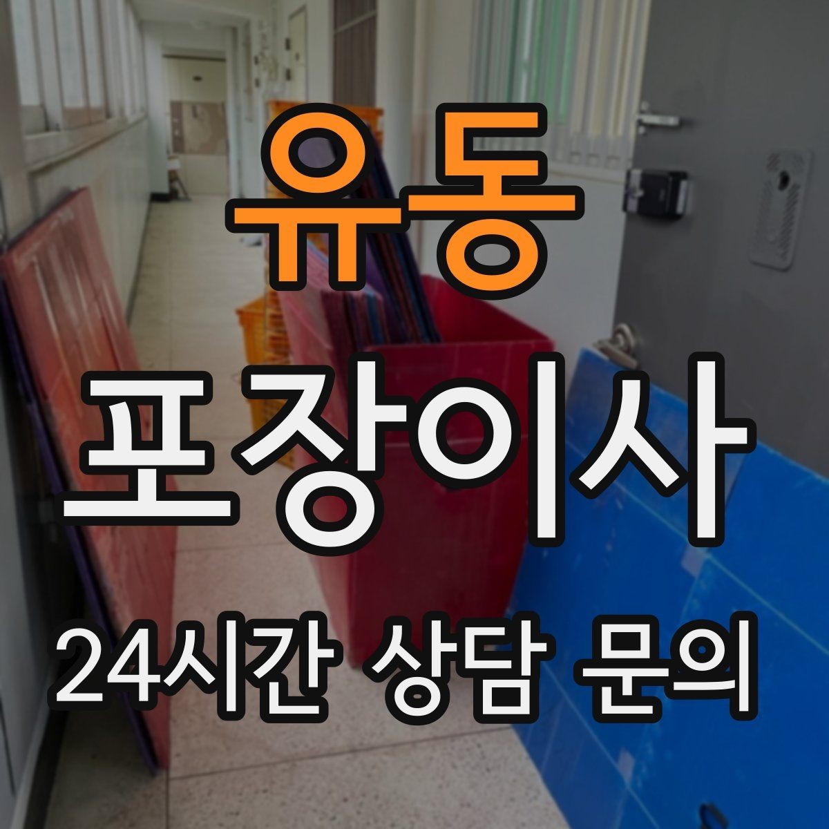 유동 포장이사 이사 당일 아이와 반려동물은 어디에 있을까