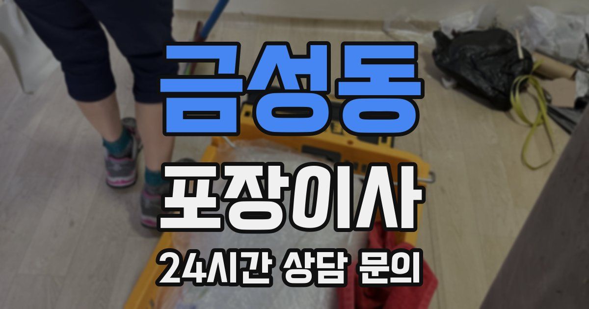 금성동 포장이사