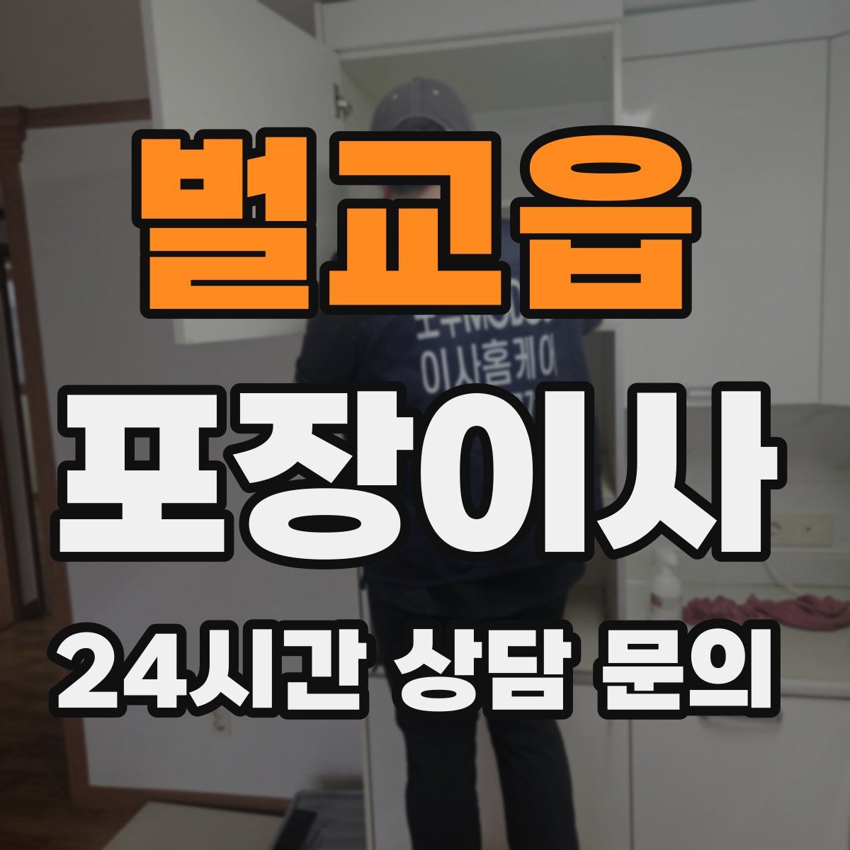 벌교읍 포장이사