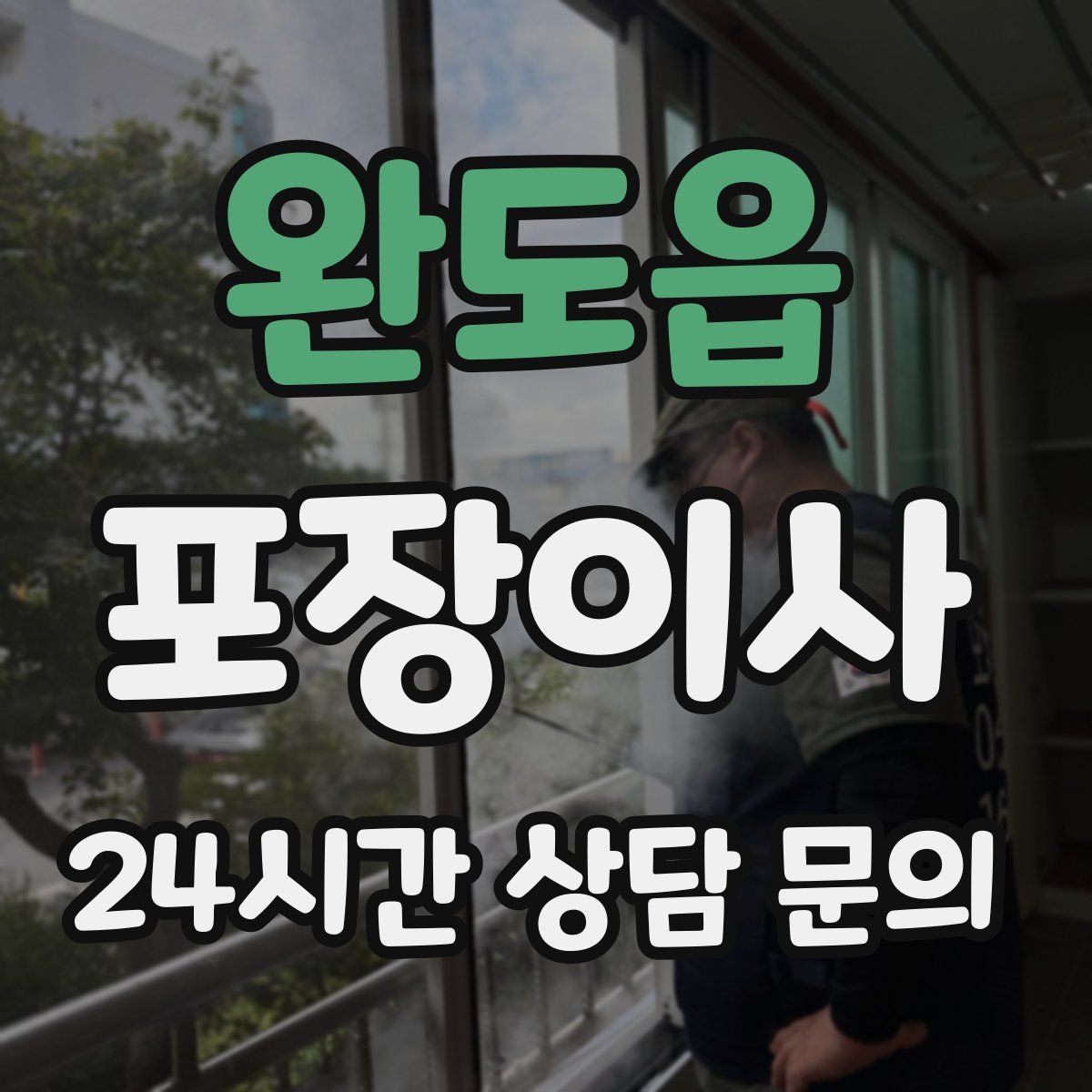 완도읍 포장이사