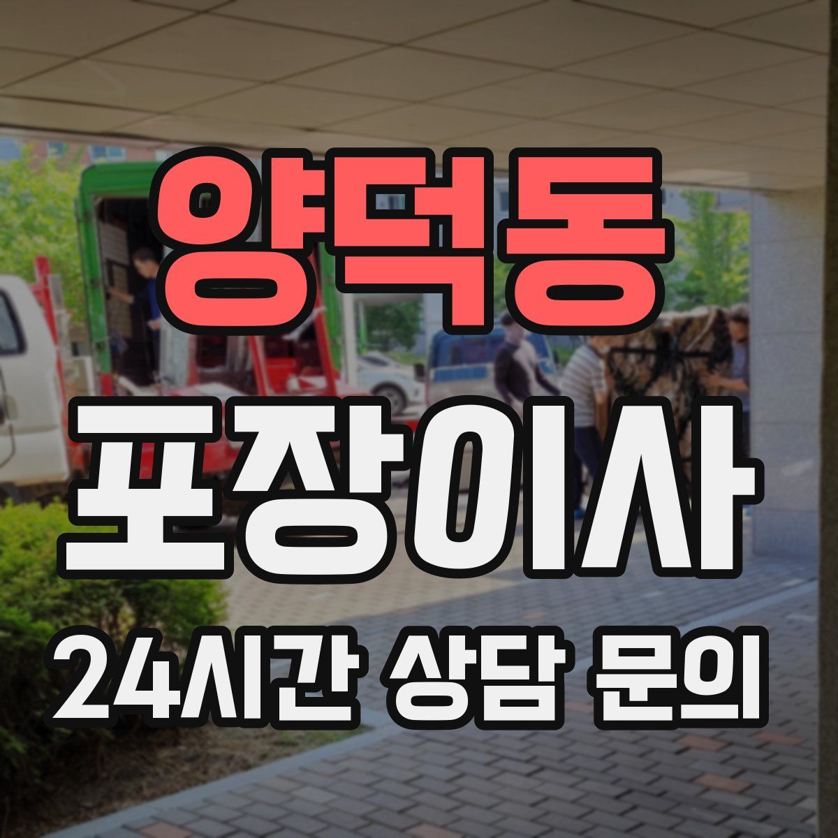 양덕동 포장이사