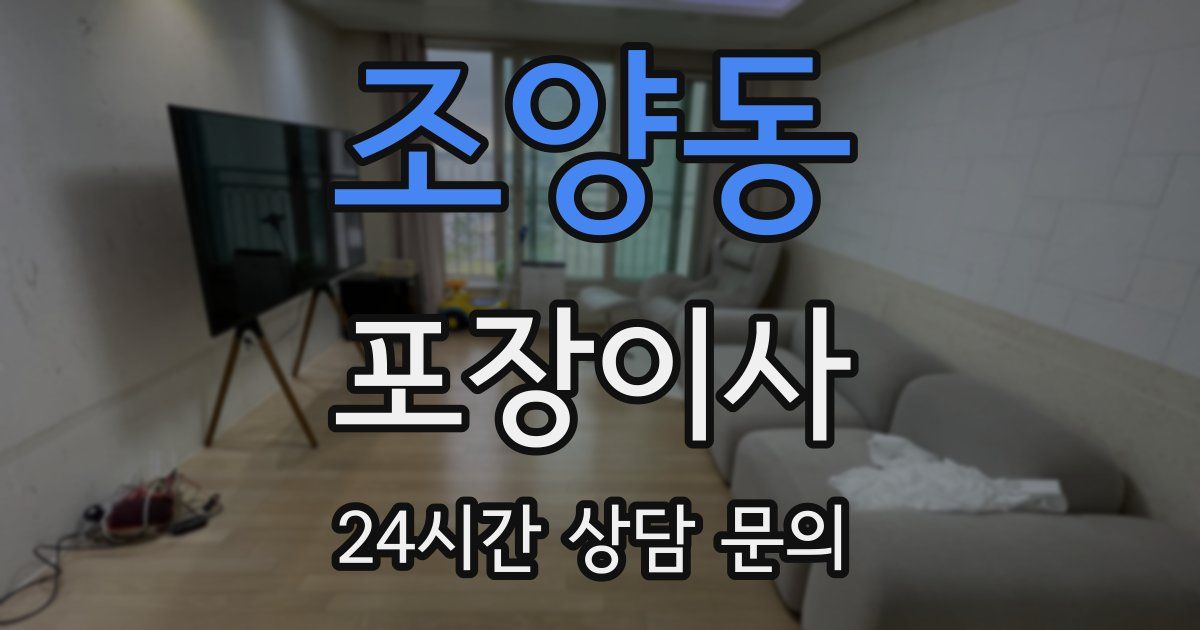 조양동 포장이사