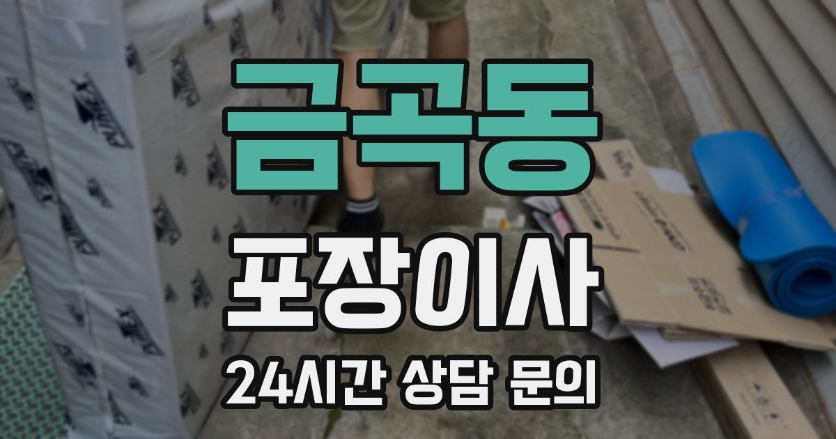 금곡동 포장이사