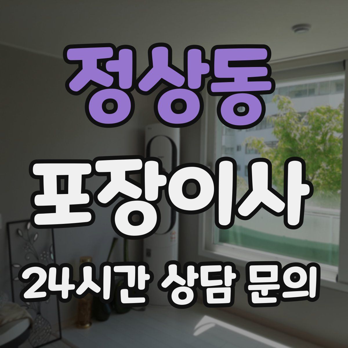 정상동 포장이사
