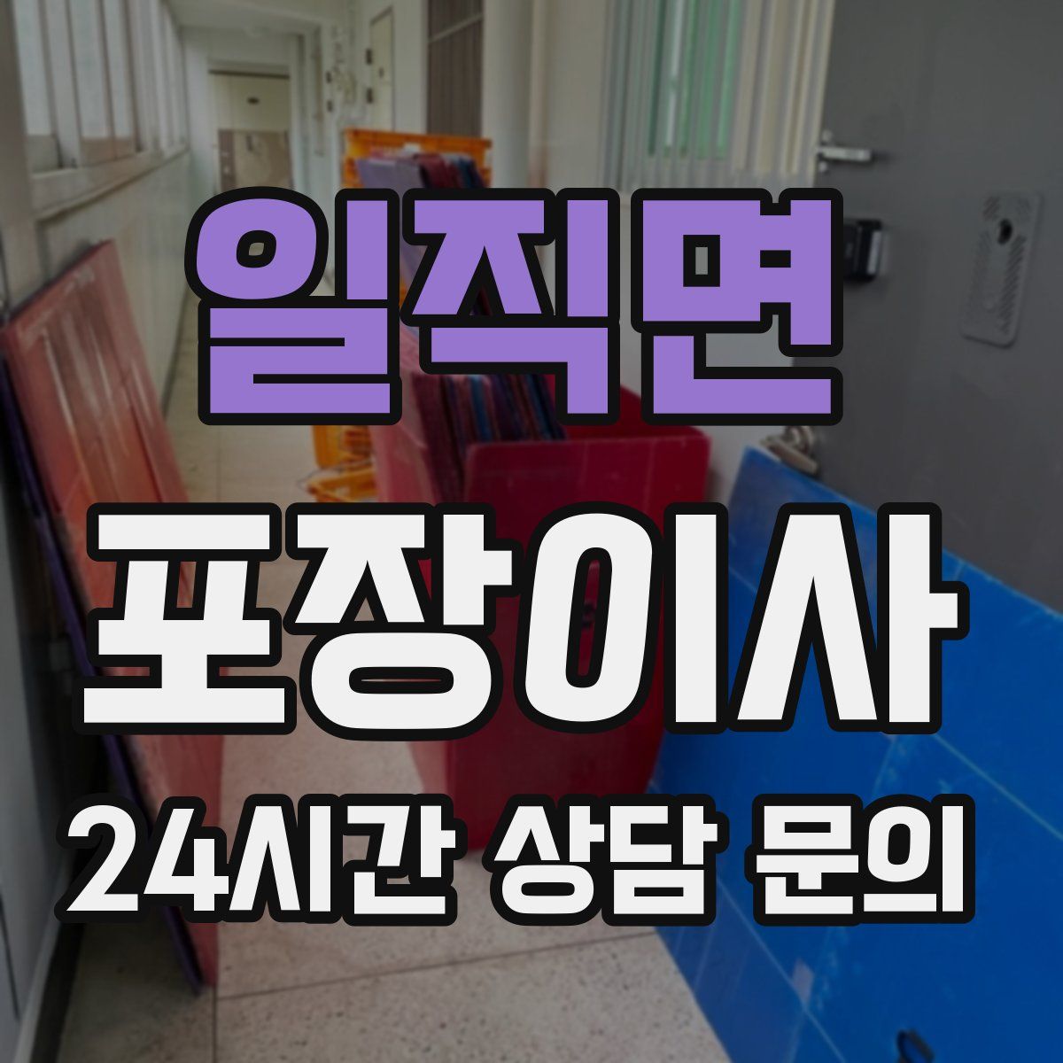 일직면 포장이사