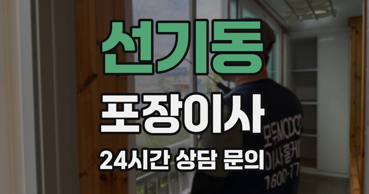 선기동 포장이사