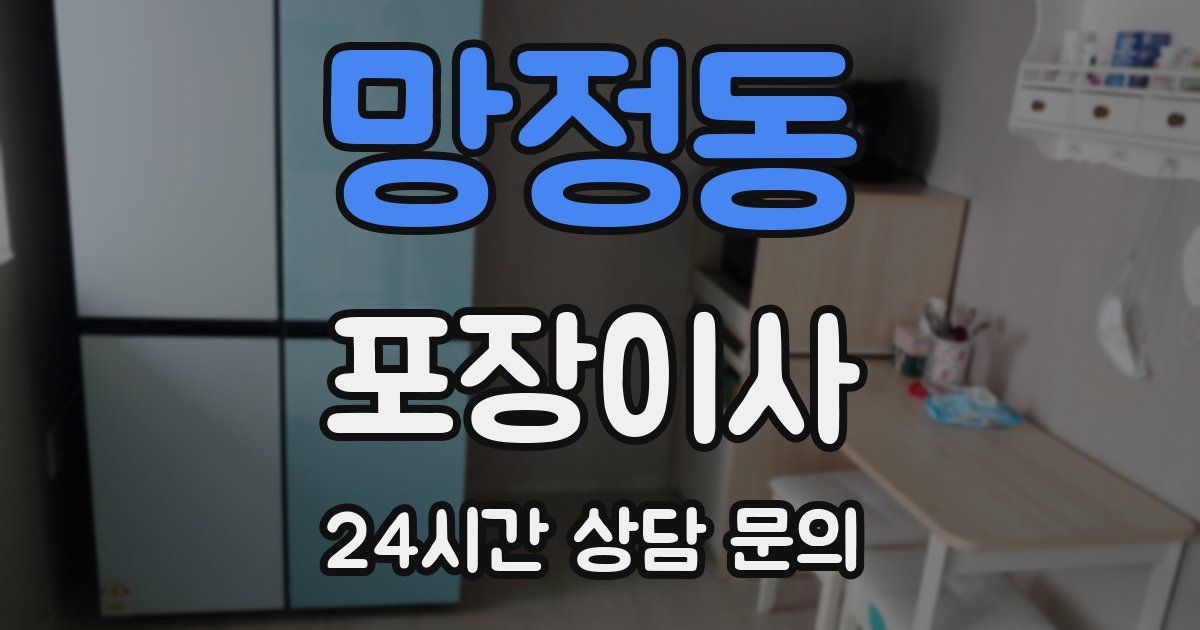 망정동 포장이사