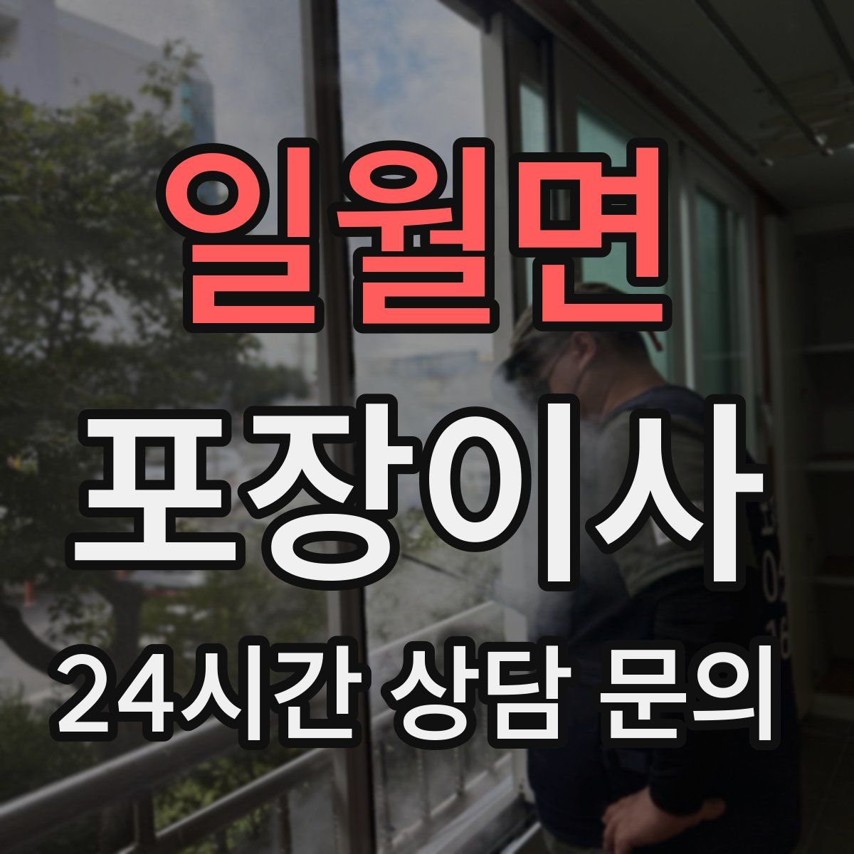 일월면 포장이사