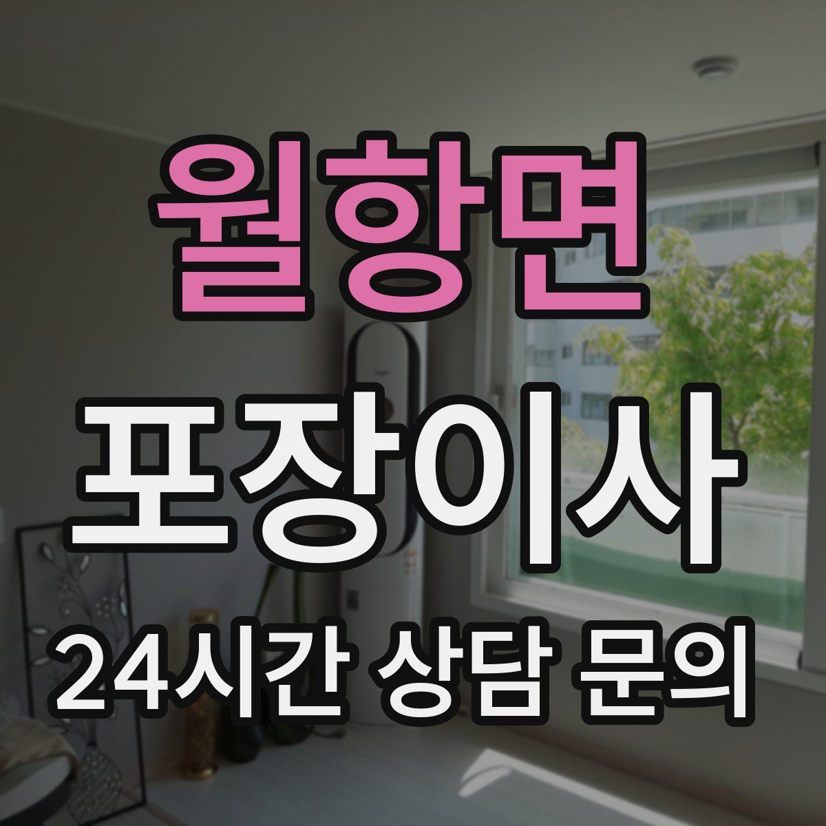 월항면 포장이사