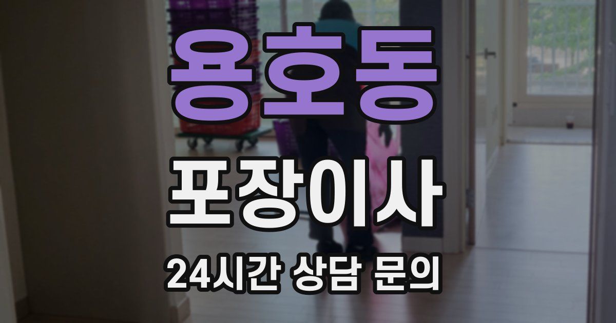 용호동 포장이사