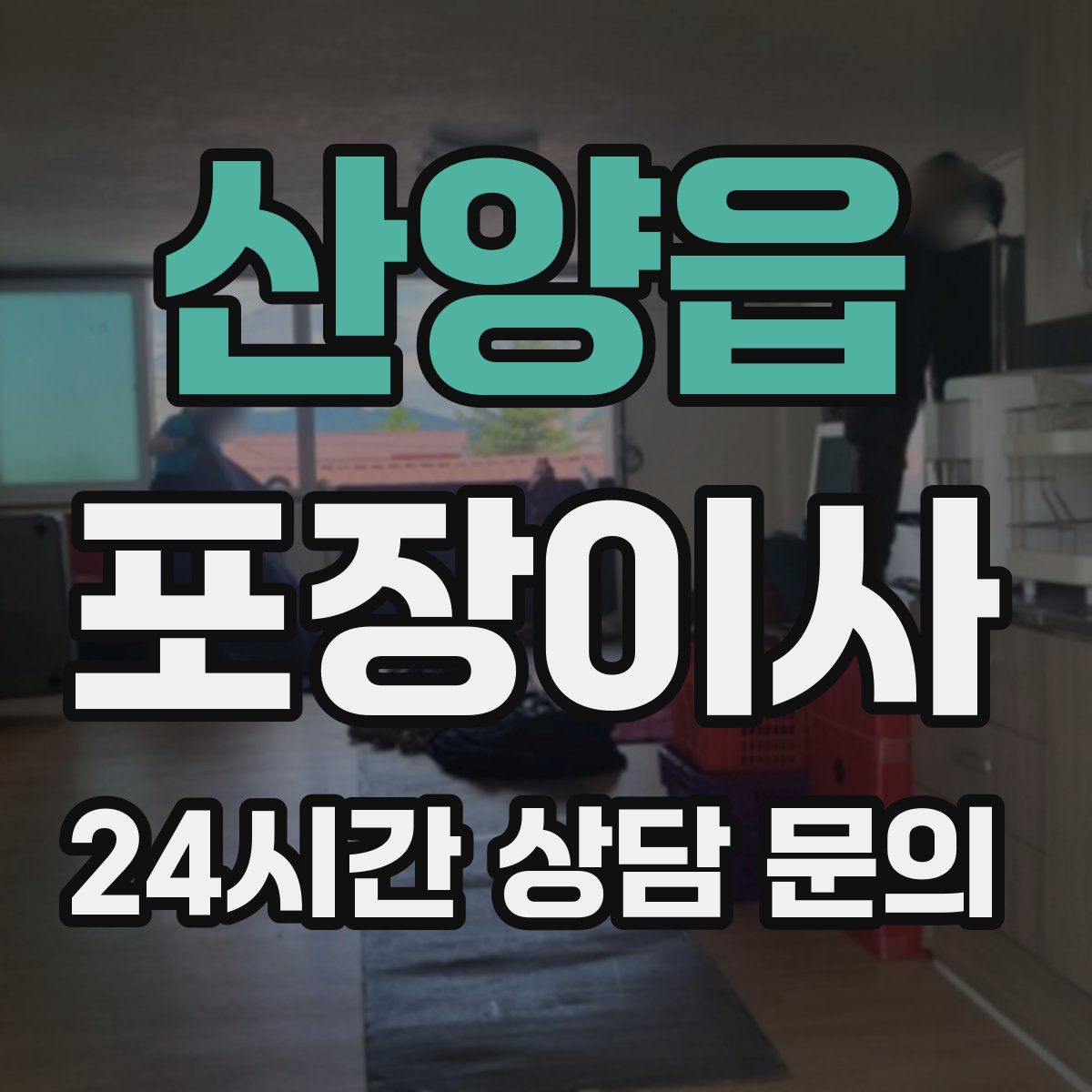 산양읍 포장이사