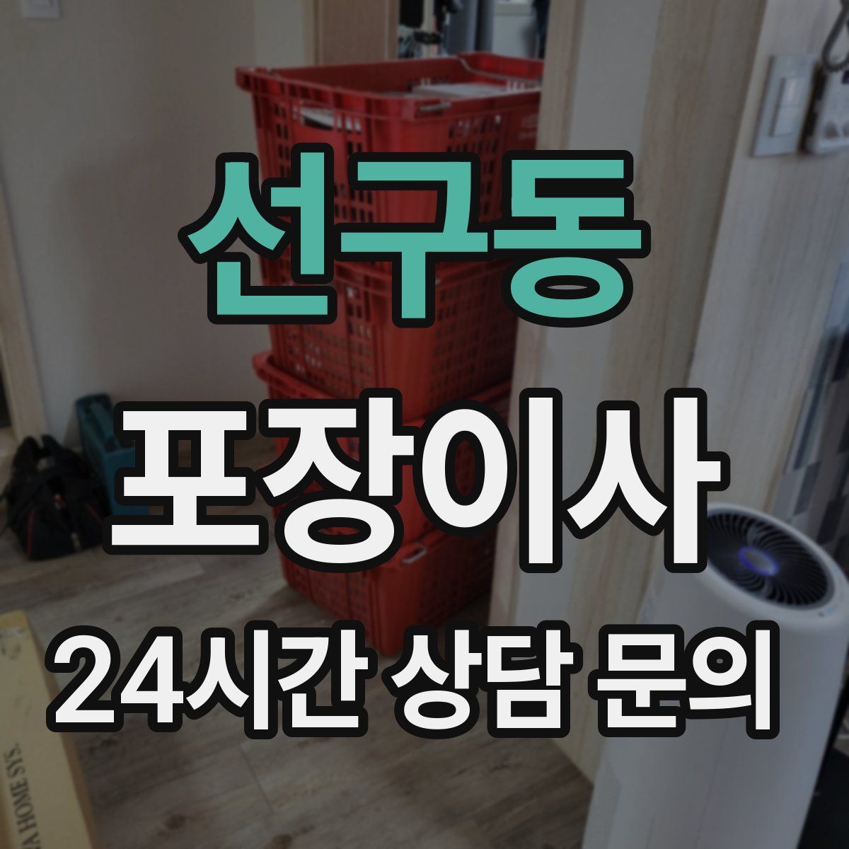 선구동 포장이사