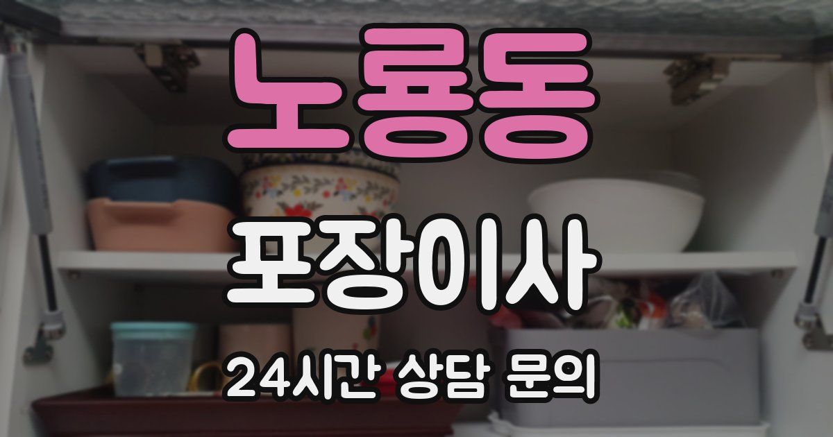 노룡동 포장이사