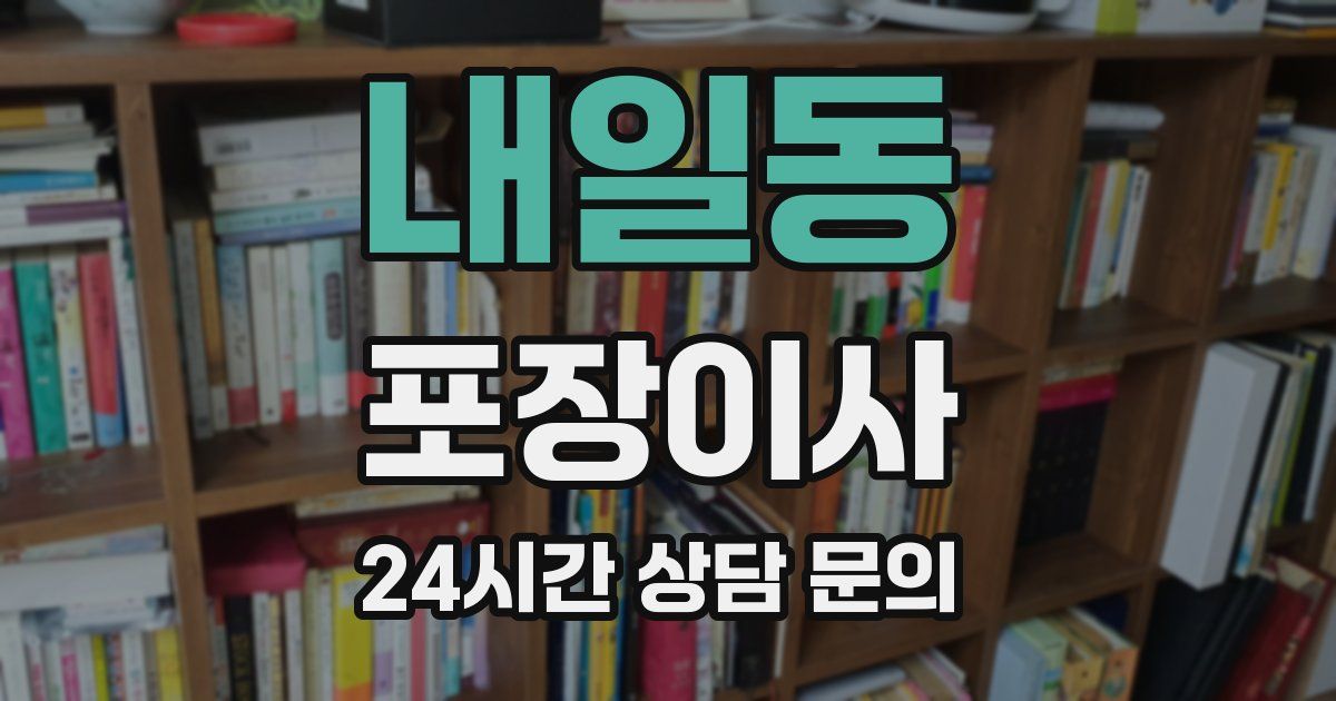 내일동 포장이사