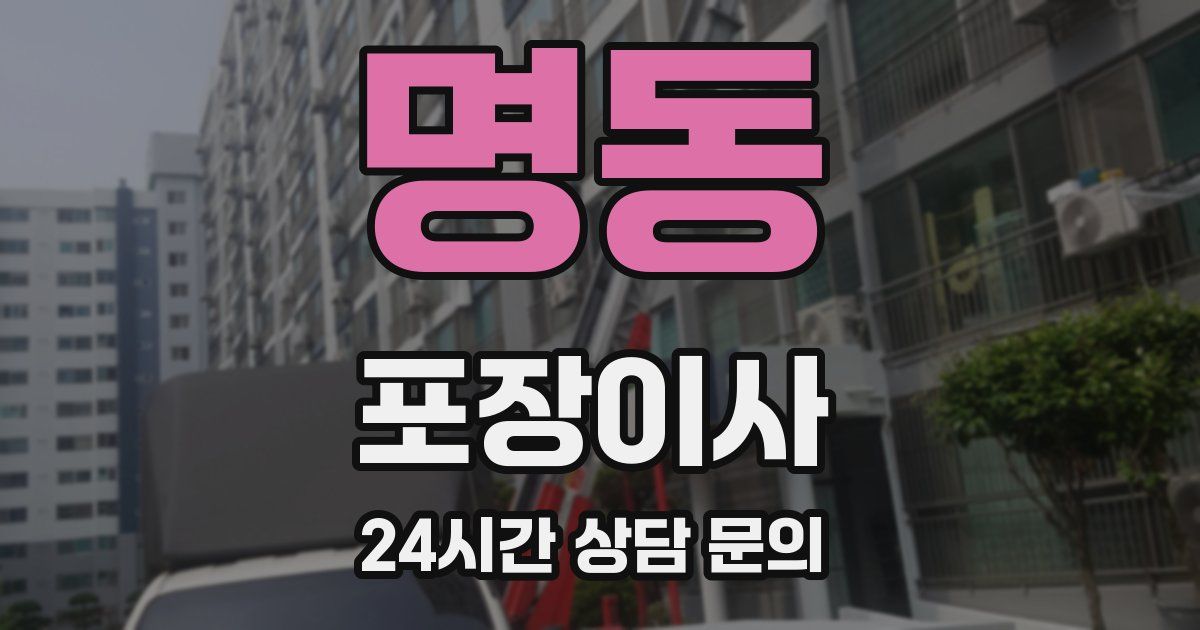 명동 포장이사