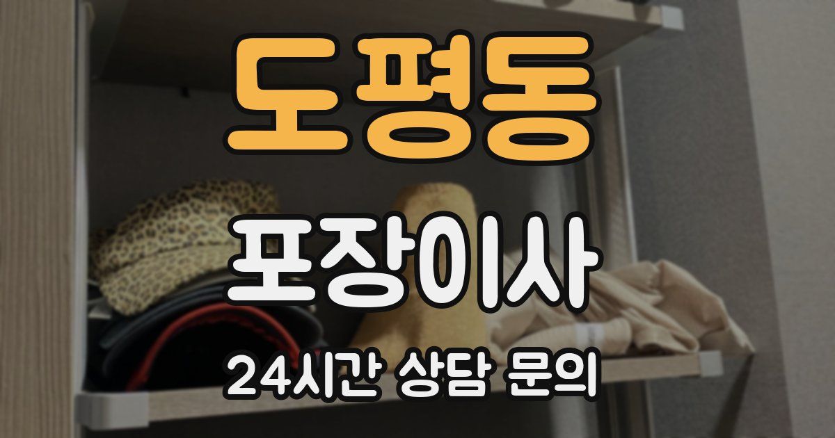 도평동 포장이사