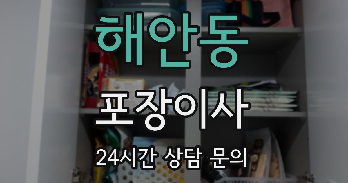 해안동 포장이사