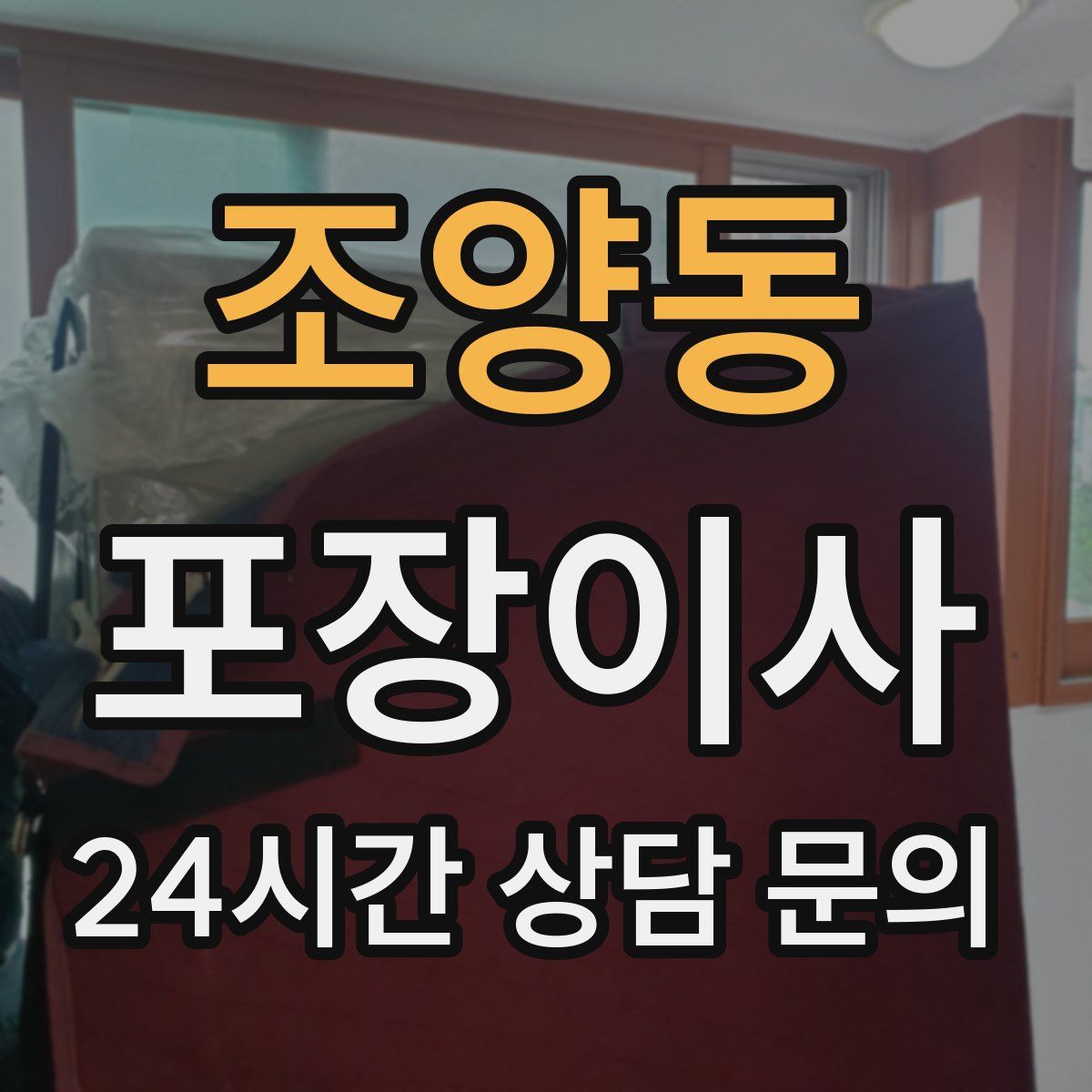 조양동 포장이사