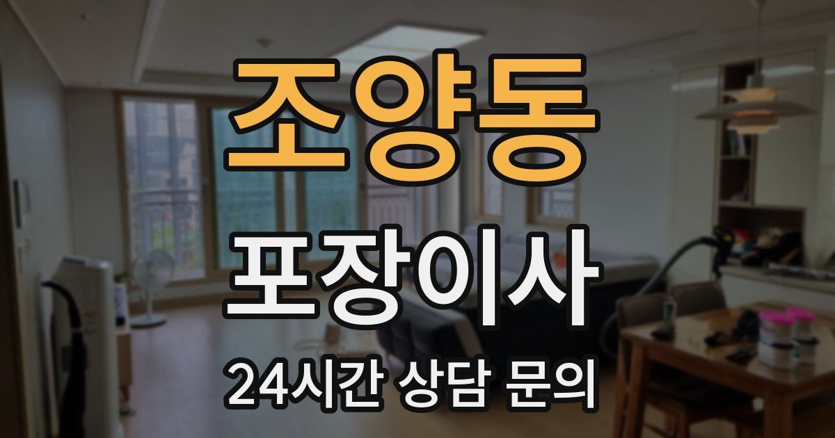 조양동 포장이사