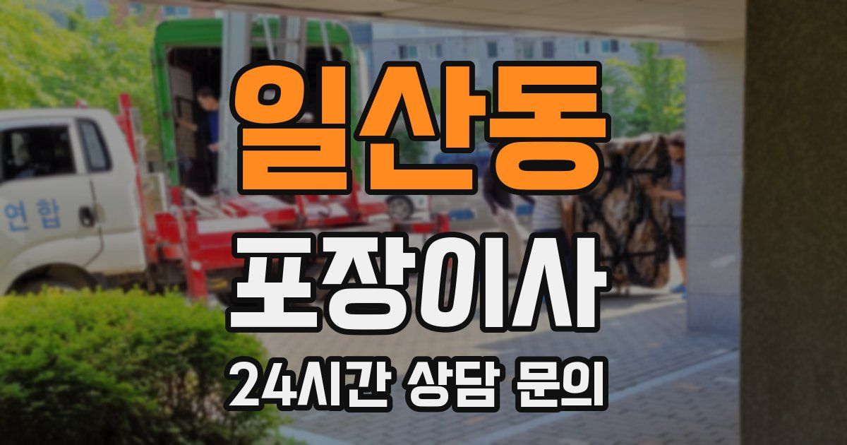 일산동 포장이사