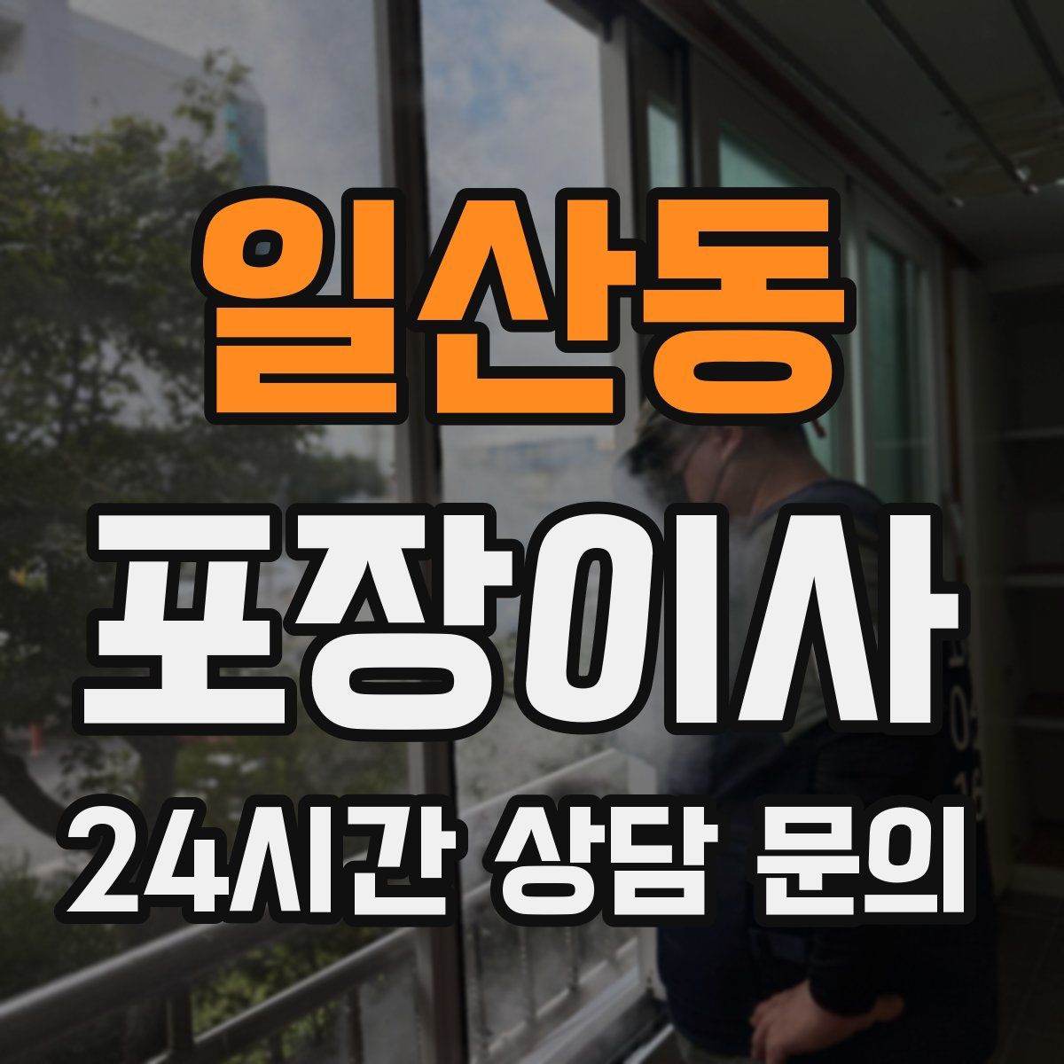 일산동 포장이사