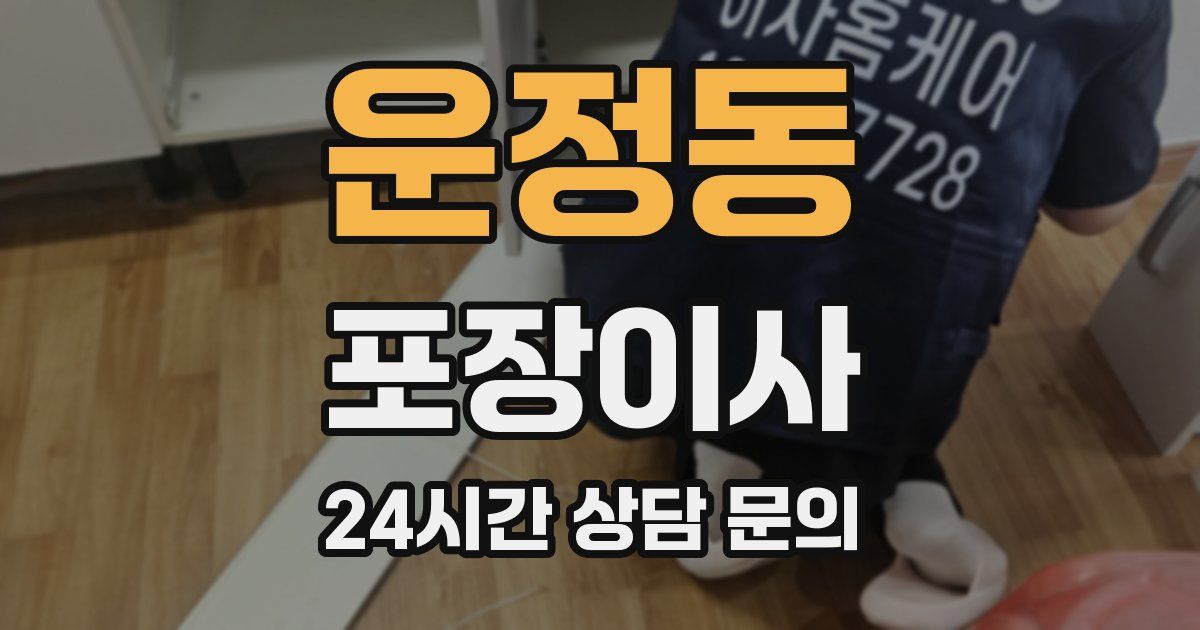 운정동 포장이사