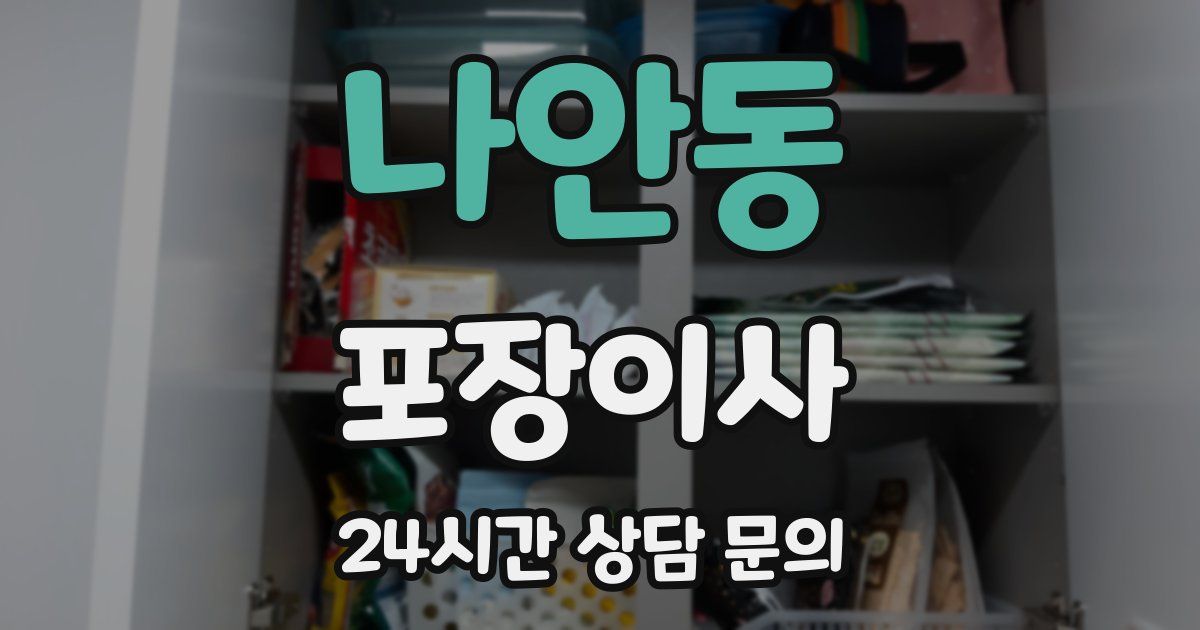 나안동 포장이사